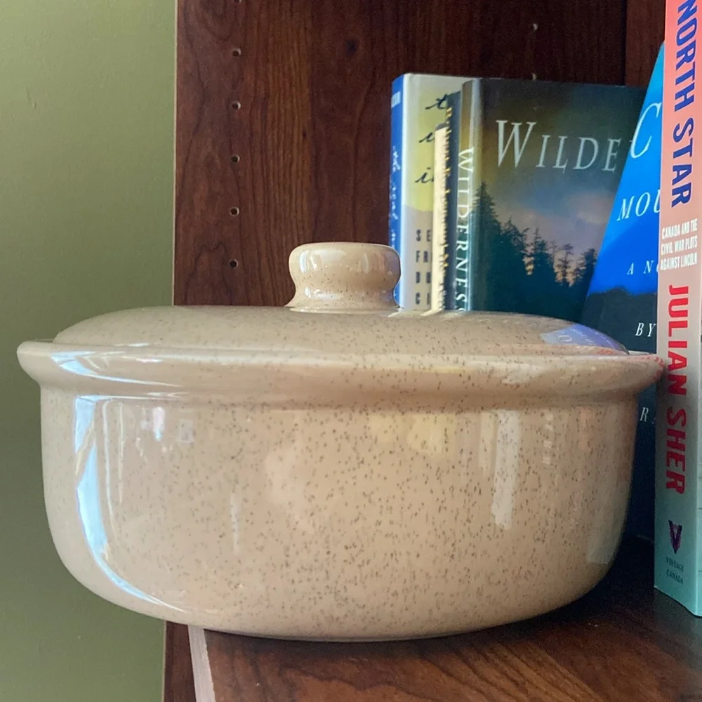 Bauer Pottery Monterey Moderne Speckled Vintage Lidded Crock Casserole Dish Cove